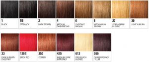 dye human hair wigs